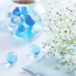 baby's-breath