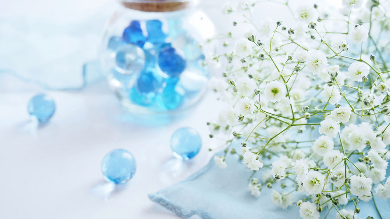 baby's-breath