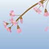 illustrator04